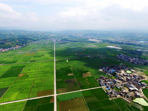 希望的田野