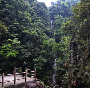 溪水长流