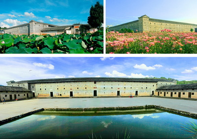 光景常新（组照）