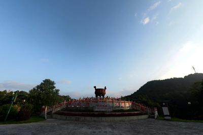《招财宝鼎润东江》
